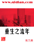 《重生之流年》（校对版全本）作者：埃兰路 百度云txt全集下载 封面