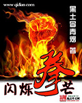《闪烁拳芒》（校对版全本）作者：黑土冒青烟 百度云txt全集下载 封面