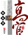 《高官》（精校版全本）作者：格鱼 百度云txt全集下载 封面
