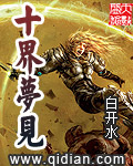 《十界梦见》（校对版全本）作者：白开水 百度云txt全集下载 封面