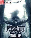 《魔痕》（精校版全本）作者：庭雨 百度云txt全集下载 封面