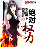 《绝对权力》（精校版全本）作者：不信天上掉馅饼 百度云txt全集下载 封面
