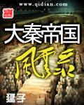 《大秦帝国风云录》（校对版全本）作者：猛子 百度云txt全集下载 封面