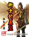 《术士的星空》(校对版全本)作者:银灰冰霜 百度云txt全集下载 封面