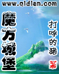 《魔方城堡》(校对版全本)作者:打呼的猪 百度云txt全集下载 封面