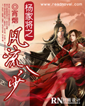 《杨家将之风流八少》（校对版全本）作者：宵烟 百度云txt全集下载 封面