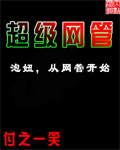 《超级网管》（校对版全本）作者：衰鸟 百度云txt全集下载 封面