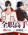 《全职高手》（精校版全本）作者：蝴蝶蓝 百度云txt全集下载 封面