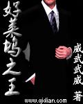 《好莱坞之王》（校对版全本）作者：威武武威 百度云txt全集下载 封面