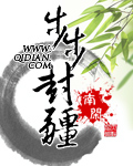 《步步封疆》（校对版全本）作者：南闲 百度云txt全集下载 封面