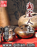 《淘宝人生》（校对版全本）作者：浪拍云 百度云txt全集下载 封面