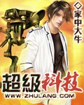 《超级科技》（校对版全本）作者：家中大牛 百度云txt全集下载 封面