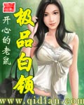 《极品白领》（校对版全本）作者：开心的老鼠 百度云txt全集下载 封面