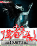 《强者无敌》(校对版全本)作者:风翔宇 百度云txt全集下载 封面