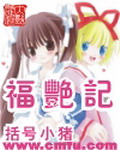 《福艳记》（校对版全本）作者：括号小猪 百度云txt全集下载 封面