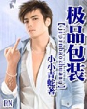 《极品包装》（校对版全本）作者：小小青蛇 百度云txt全集下载 封面