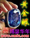 《黄金眼》（校对版全本）作者：锦瑟华年 百度云txt全集下载 封面