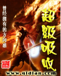 《超级吸收》（校对版全本）作者：曾经拥有的方向感 百度云txt全集下载 封面