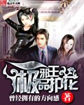 《极品护花邪王》(校对版全本)作者:曾经拥有的方向感 百度云txt全集下载 封面