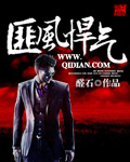 《匪风悍气》(校对版全本)作者:醛石 百度云txt全集下载 封面