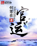 《官运》（校对版全本）作者：何常在 百度云txt全集下载 封面