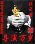 《导演万岁》（校对版全本）作者：张云 百度云txt全集下载 封面