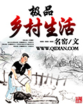 《极品乡村生活》（校对版全本）作者：名窑 百度云txt全集下载 封面