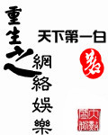 《重生之网络娱乐》（校对版全本）作者：天下第一白 百度云txt全集下载 封面