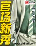 《官场新秀》(校对版全本)作者:二月二十八日 百度云txt全集下载 封面