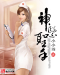 《神医圣手》（校对版全本）作者：小小羽 百度云txt全集下载 封面