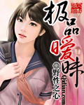 《极品暧昧》（校对版全本）作者：野性之心 百度云txt全集下载 封面