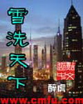 《雪洗天下》(校对版全本)作者:醉虎 百度云txt全集下载 封面