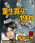 《重生寡头1991》（校对版全本）作者：懵懂的猪 百度云txt全集下载 封面