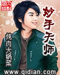《妙手天师》（校对版全本）作者：炖肉大锅菜 百度云txt全集下载 封面