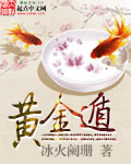 《黄金遁》（校对版全本）作者：冰火阑珊 百度云txt全集下载 封面