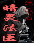 《暗灵法医》（校对版全本）作者：沐轶 百度云txt全集下载 封面