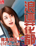《浪迹花都》（校对版全本）作者：我本疯狂 百度云txt全集下载 封面