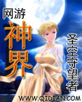 《网游神界》(校对版全本)作者:圣空守望者 百度云txt全集下载 封面