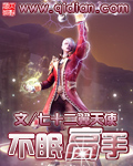 《不眠高手》（校对版全本）作者：七十二翼天使 百度云txt全集下载 封面