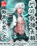《网游乾坤无极》（校对版全本）作者：傲月长空 百度云txt全集下载 封面