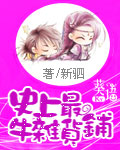 《史上最牛杂货铺》（校对版全本）作者：新驷 百度云txt全集下载 封面