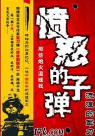 《愤怒的子弹》（校对版全本）作者：流浪的军刀 百度云txt全集下载 封面