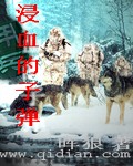 《浸血的子弹》(校对版全本)作者:晖狼 百度云txt全集下载 封面