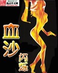 《血沙》（校对版全本）作者：闪烁 百度云txt全集下载 封面