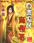 《白金农民麻烦哥》（校对版全本）作者：麻烦 百度云txt全集下载 封面