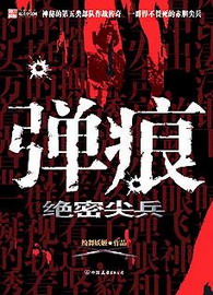 《弹痕》（校对版全本）作者：纷舞妖姬 百度云txt全集下载 封面