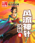 《风流神针》（校对版全本）作者：沐轶 百度云txt全集下载 封面