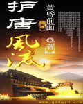 《护唐风流》（校对版全本）作者：黄昏前面 百度云txt全集下载 封面