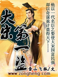《大宋第一盗》（校对版全本）作者：雪山飞狐 百度云txt全集下载 封面