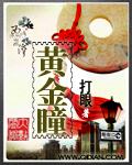 《黄金瞳(典当)》（精校版全本）作者：打眼 百度云txt全集下载 封面